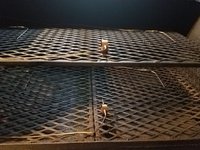 20181228_060824_resized.jpg (1.93 MiB) Viewed 5610 times 20181228_060824_resized.jpg