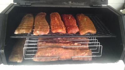 15 ribs with rack.jpg